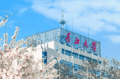 <b>石油“铁饭碗”来袭环节院校和专业大揭秘！</b>